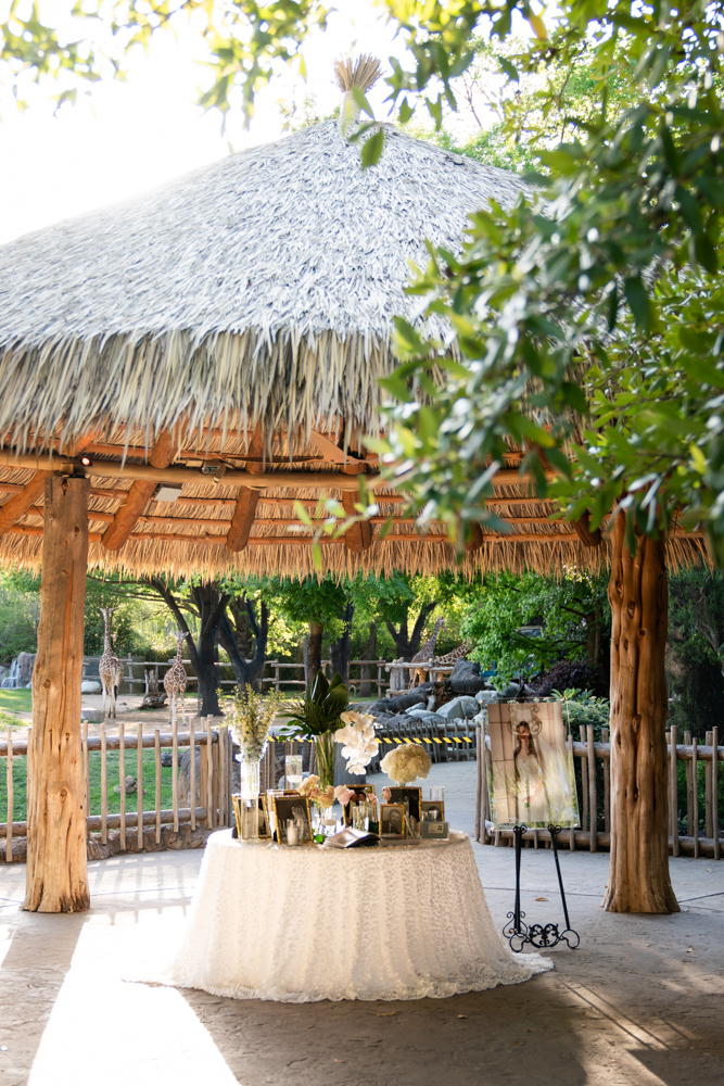 Kelley & Stephen, First United Methodist Church Fort Worth & Fort Worth Zoo Wedding