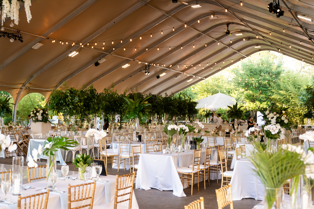 Celebrating Kelley & Stephen, First United Methodist Church Fort Worth & Fort Worth Zoo Wedding