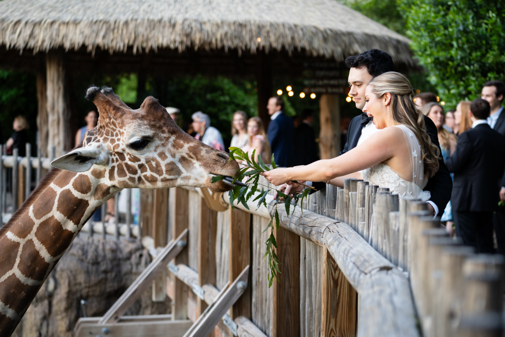 Kelley & Stephen, First United Methodist Church Fort Worth & Fort Worth Zoo Wedding