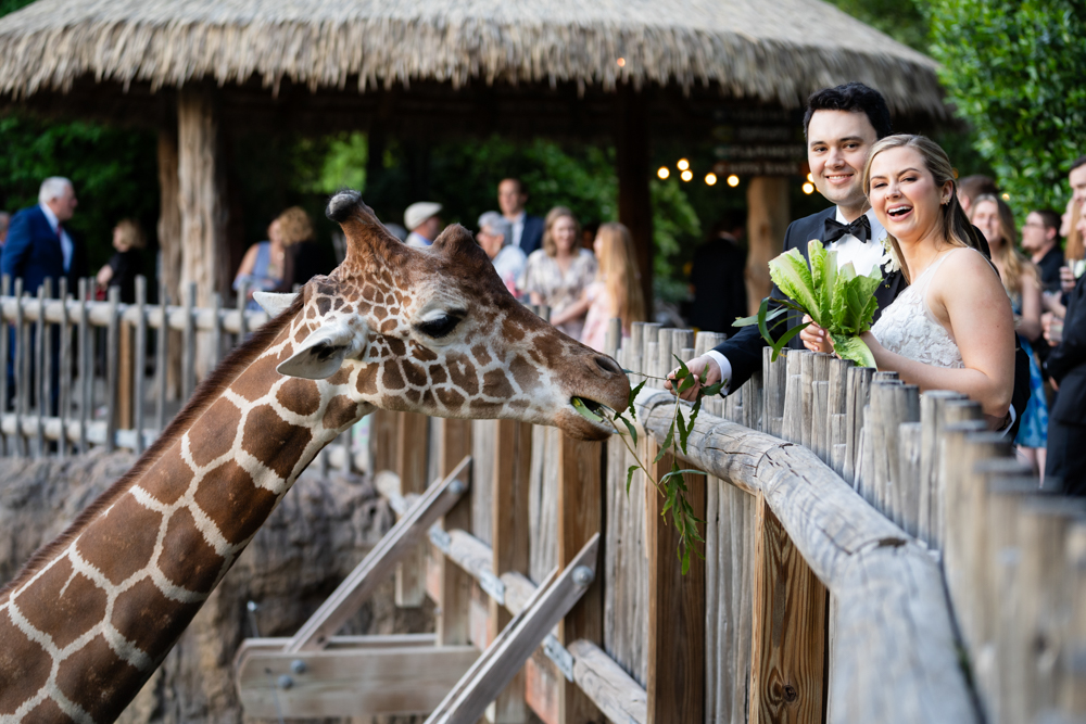 Moments from Kelley & Stephen, First United Methodist Church Fort Worth & Fort Worth Zoo Wedding