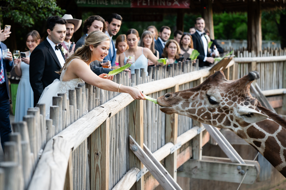 Kelley & Stephen, First United Methodist Church Fort Worth & Fort Worth Zoo Wedding