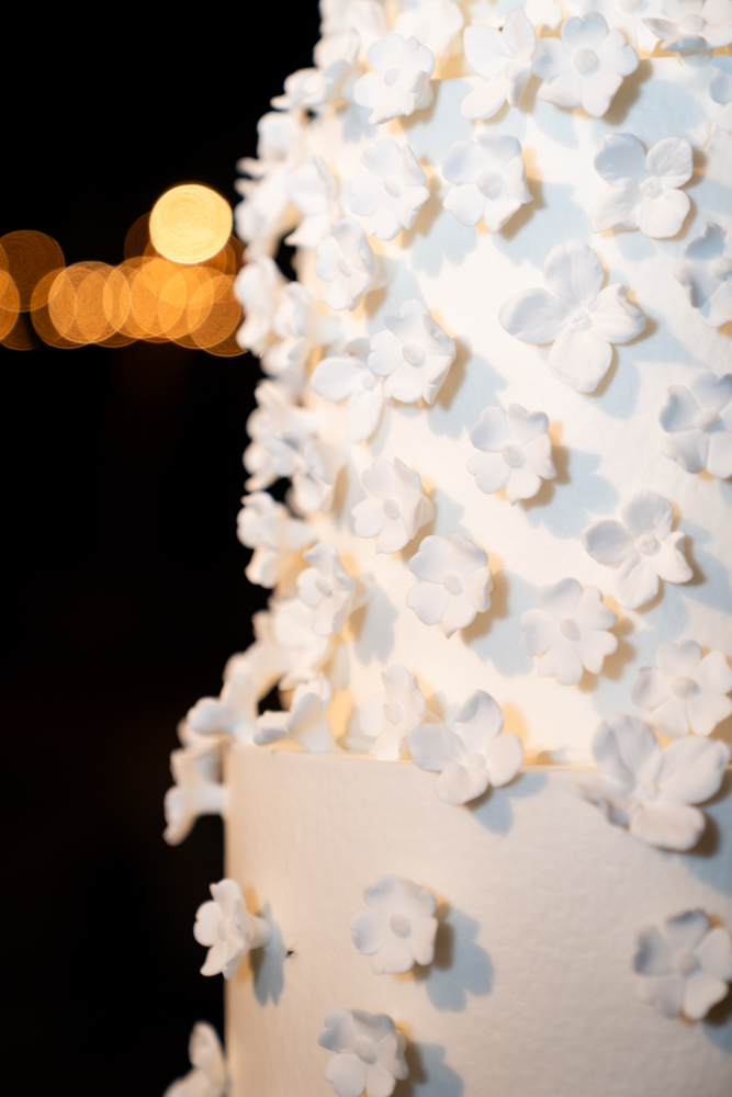 Kelley & Stephen, First United Methodist Church Fort Worth & Fort Worth Zoo Wedding