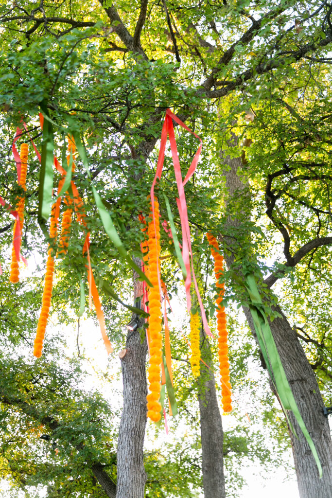 A Colorful Cultural Celebration at the Fort Worth Zoo, Katie & Huy