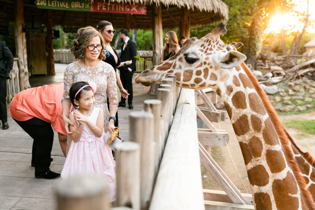 A Colorful Cultural Celebration at the Fort Worth Zoo, Katie & Huy