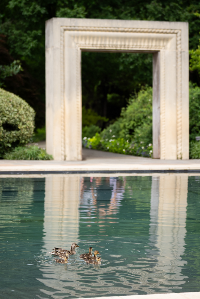 Beauty by Maitee Miles on Hannah during her garden bridal portraits
