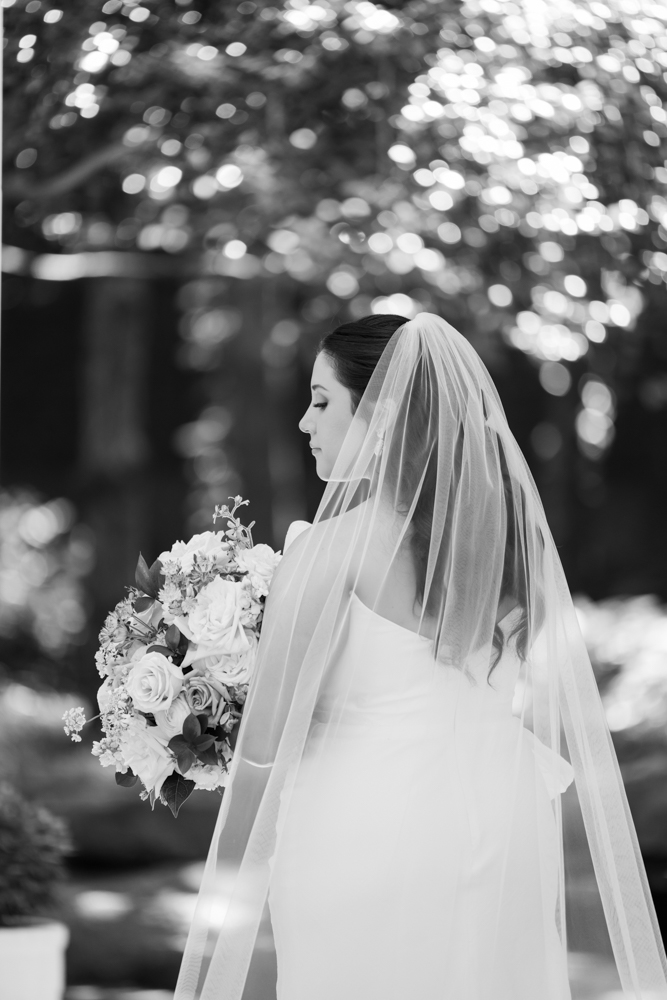 Caroline's gown and train among the greenery at the Botanic Garden