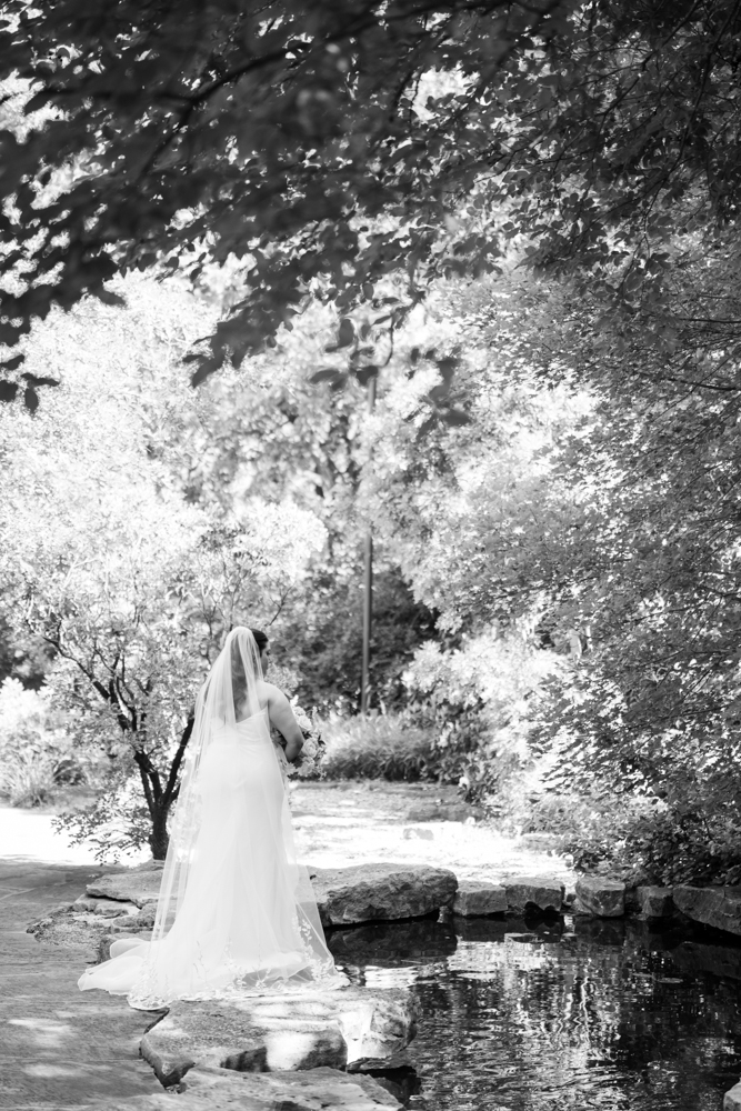 Caroline's gown and train among the greenery at the Botanic Garden